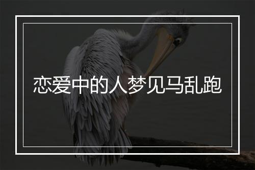 恋爱中的人梦见马乱跑