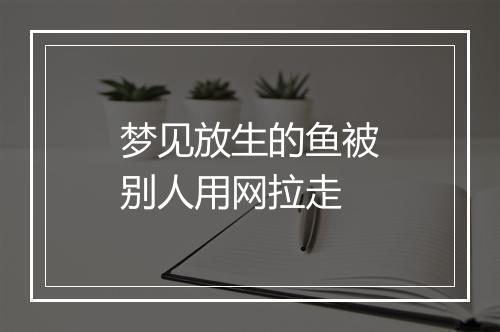 梦见放生的鱼被别人用网拉走