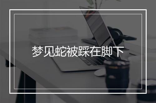 梦见蛇被踩在脚下