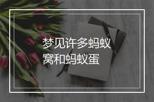 梦见许多蚂蚁窝和蚂蚁蛋