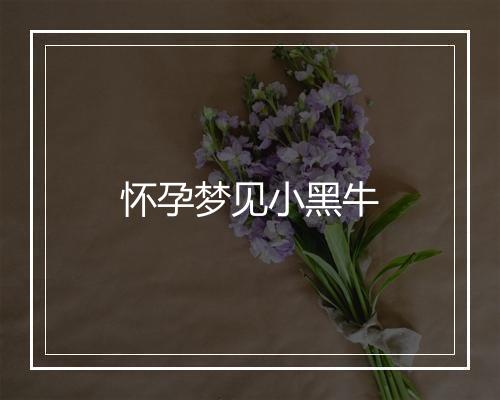 怀孕梦见小黑牛