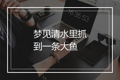 梦见清水里抓到一条大鱼