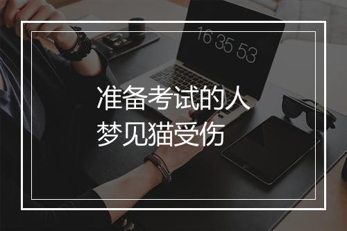 准备考试的人梦见猫受伤