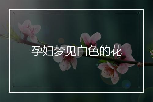 孕妇梦见白色的花