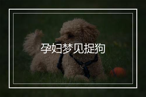 孕妇梦见捉狗