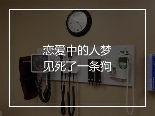 恋爱中的人梦见死了一条狗