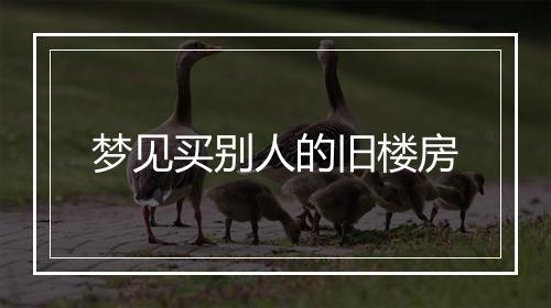 梦见买别人的旧楼房