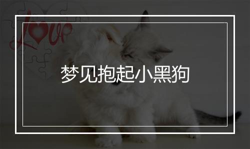 梦见抱起小黑狗