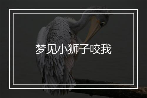 梦见小狮子咬我