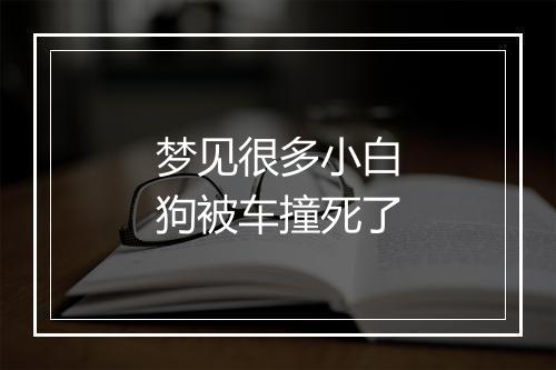 梦见很多小白狗被车撞死了