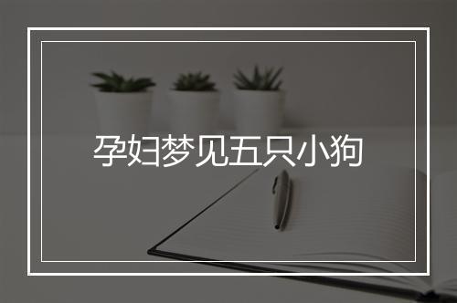 孕妇梦见五只小狗