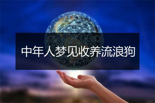 中年人梦见收养流浪狗