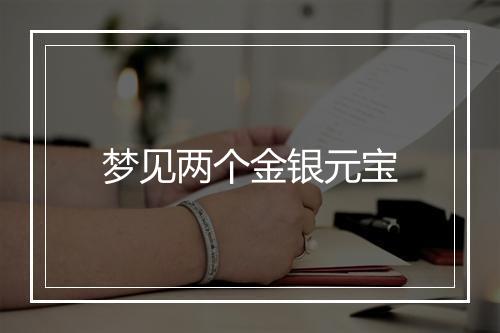 梦见两个金银元宝