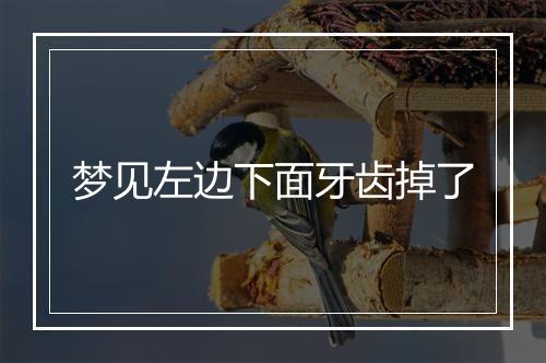 梦见左边下面牙齿掉了