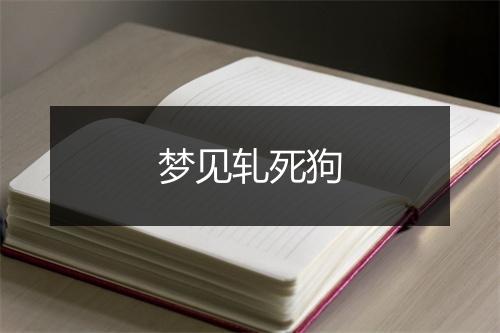 梦见轧死狗