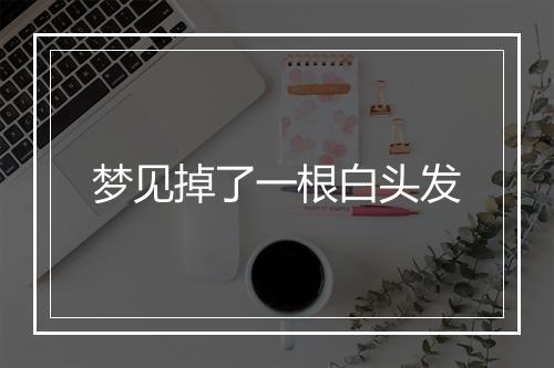 梦见掉了一根白头发