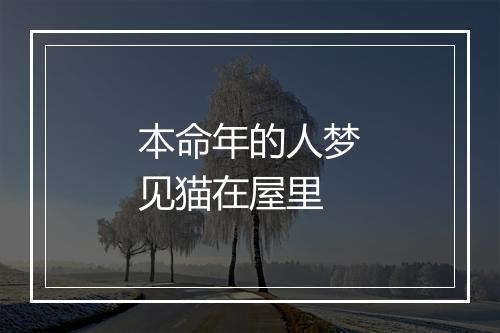 本命年的人梦见猫在屋里