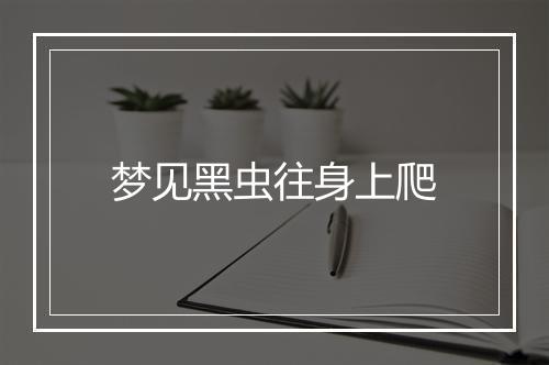 梦见黑虫往身上爬