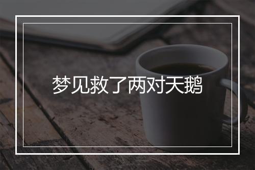 梦见救了两对天鹅