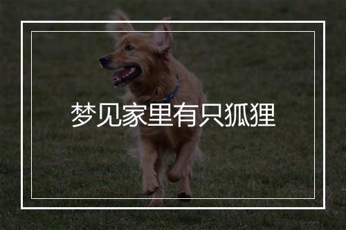 梦见家里有只狐狸