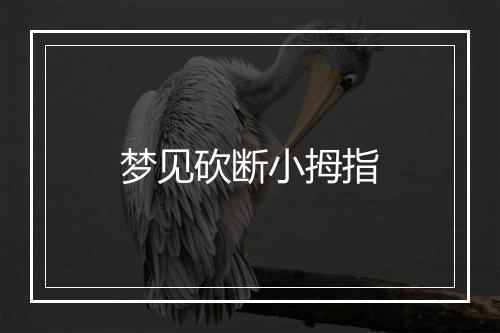 梦见砍断小拇指