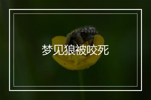 梦见狼被咬死