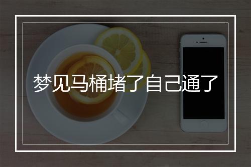 梦见马桶堵了自己通了