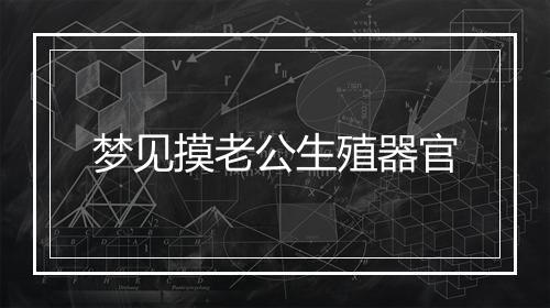 梦见摸老公生殖器官