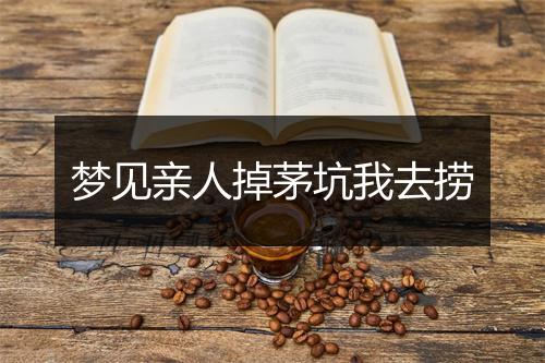 梦见亲人掉茅坑我去捞