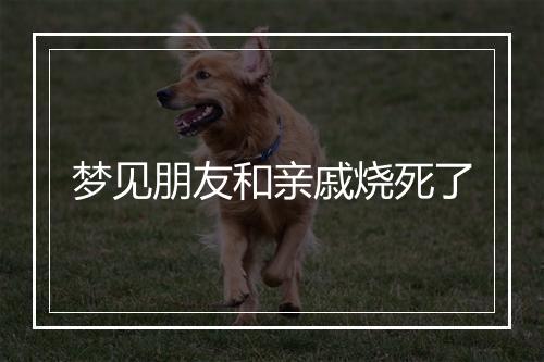 梦见朋友和亲戚烧死了