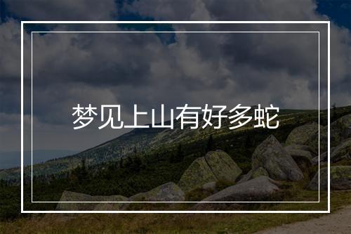 梦见上山有好多蛇