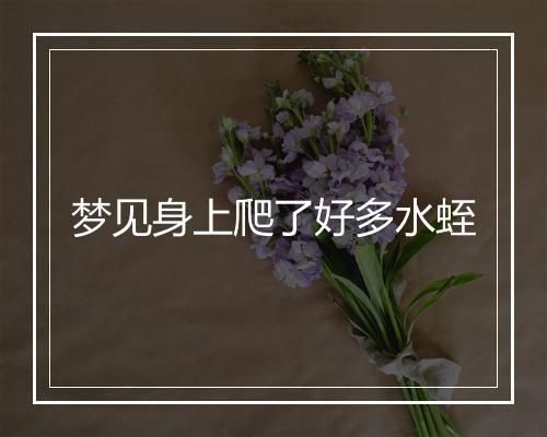 梦见身上爬了好多水蛭