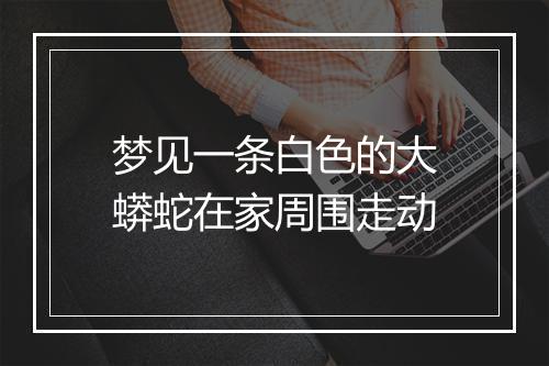 梦见一条白色的大蟒蛇在家周围走动