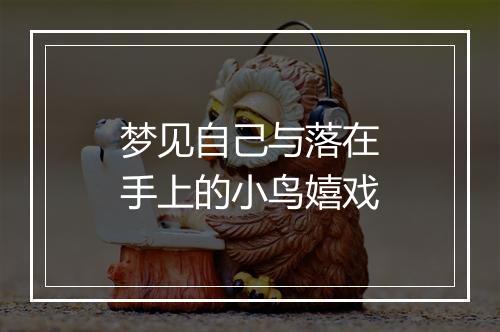 梦见自己与落在手上的小鸟嬉戏