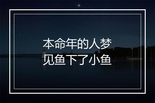 本命年的人梦见鱼下了小鱼