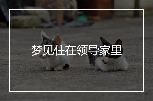 梦见住在领导家里