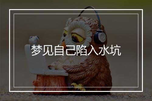 梦见自己陷入水坑