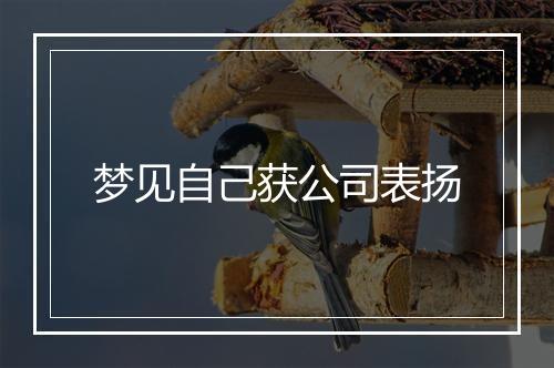 梦见自己获公司表扬