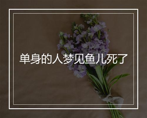 单身的人梦见鱼儿死了