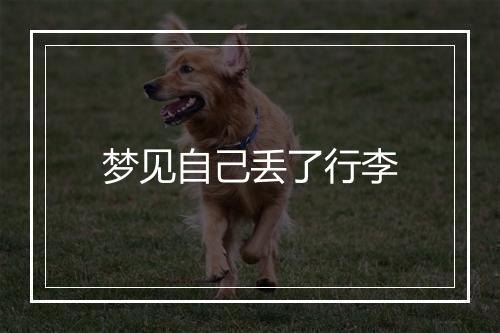 梦见自己丢了行李