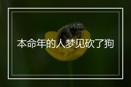 本命年的人梦见砍了狗