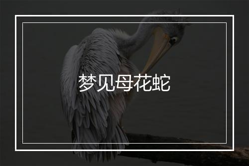 梦见母花蛇