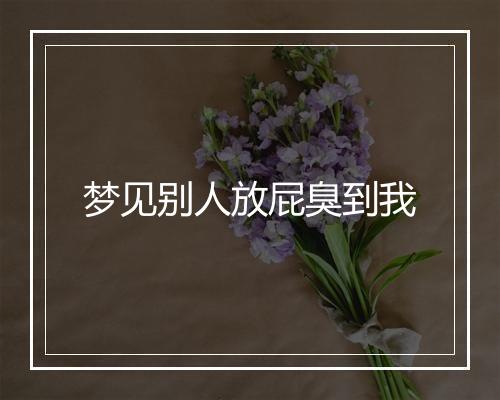 梦见别人放屁臭到我