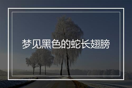 梦见黑色的蛇长翅膀