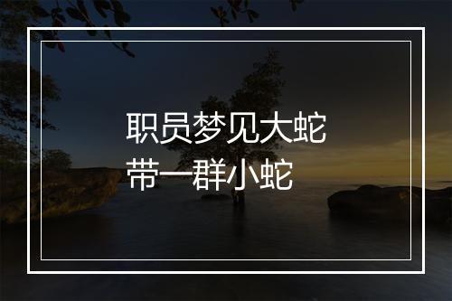 职员梦见大蛇带一群小蛇