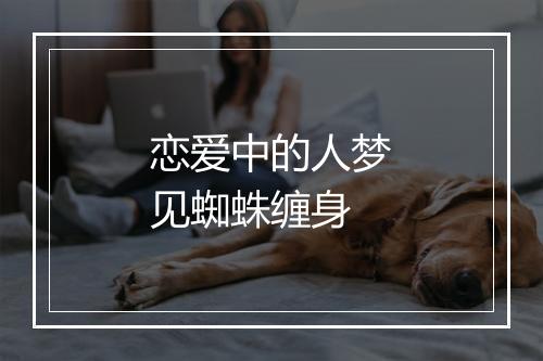 恋爱中的人梦见蜘蛛缠身