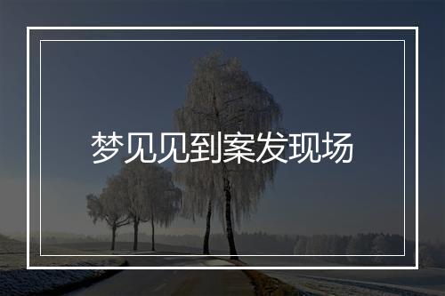 梦见见到案发现场