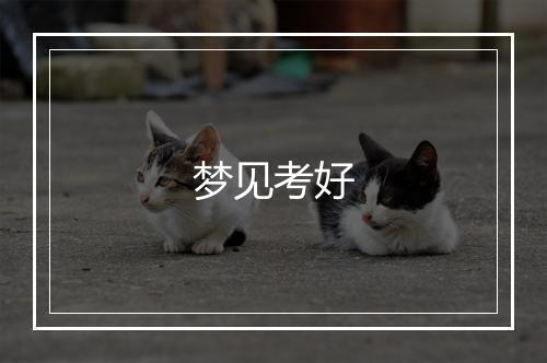 梦见考好