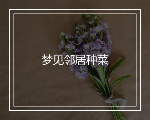 梦见邻居种菜