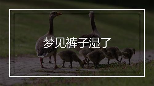 梦见裤子湿了